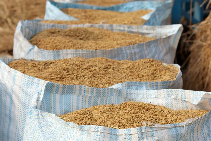 Jumbo bags for agriculture